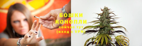 винт Гусиноозёрск