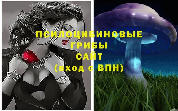 ALPHA PVP Горно-Алтайск