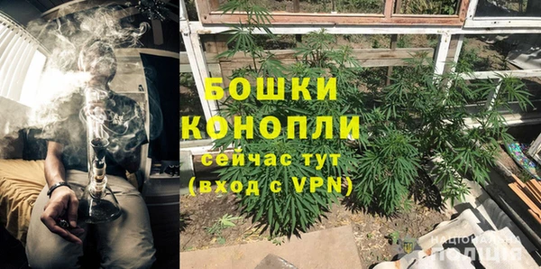 ГАЛЛЮЦИНОГЕННЫЕ ГРИБЫ Гусев