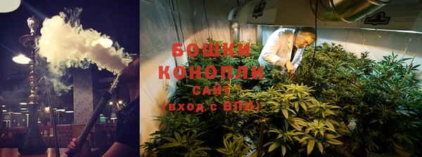 ГАЛЛЮЦИНОГЕННЫЕ ГРИБЫ Гусев