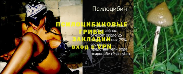 альфа пвп Гусь-Хрустальный