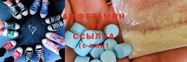 ГАЛЛЮЦИНОГЕННЫЕ ГРИБЫ Гусев
