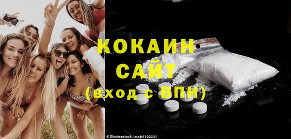 ГАЛЛЮЦИНОГЕННЫЕ ГРИБЫ Гусев