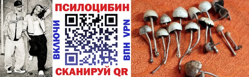 Галлюциногенные грибы MAGIC MUSHROOMS  купить   Крымск 